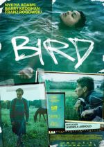 WEB 04-4 Bird_Plakat.jpg